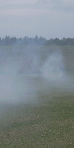 2013 Suche 29062013 Olivera